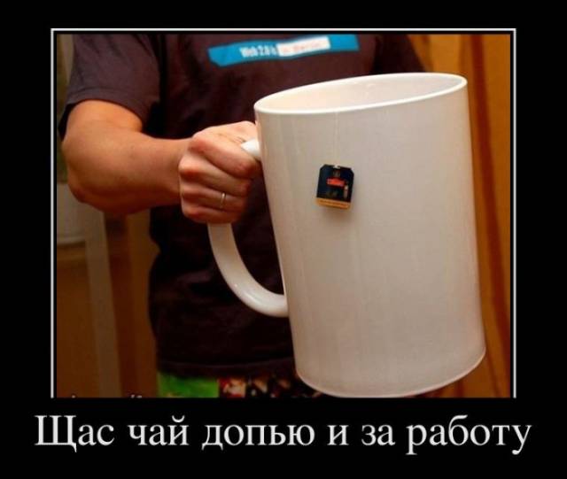 Подборка демотиваторов (13 штук) 03