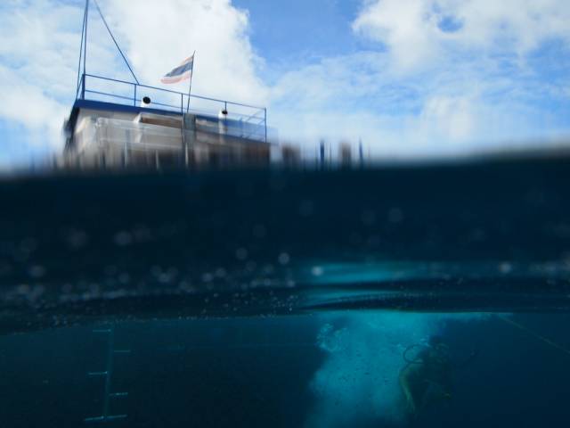 Фото на границе двух стихий, на поверхности - под водой (30 фото) 07