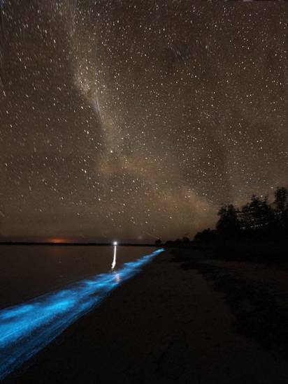 Озеро с неоновой нежно голубой подсветкой 03