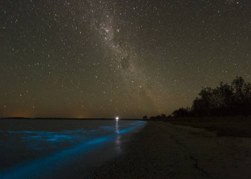 Озеро с неоновой нежно голубой подсветкой 04