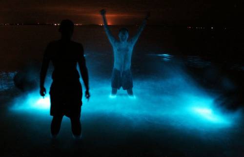 Озеро с неоновой нежно голубой подсветкой 07