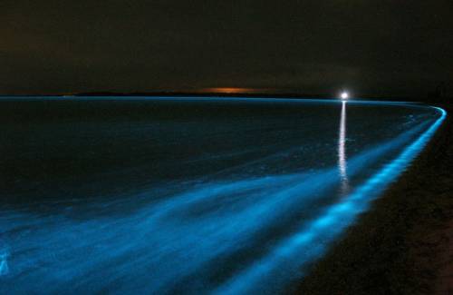 Озеро с неоновой нежно голубой подсветкой 08