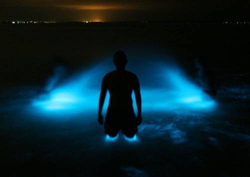 Озеро с неоновой нежно голубой подсветкой 05