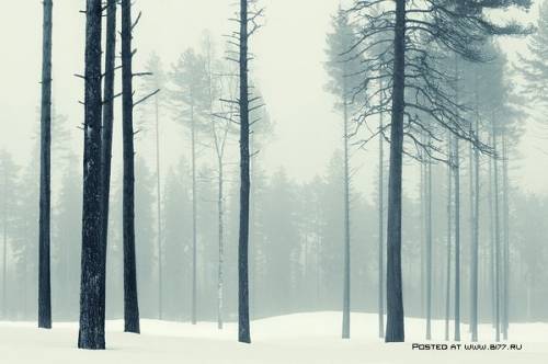 Зима на фотографиях Mikko Lagerstedt 07