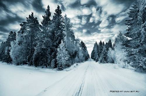 Зима на фотографиях Mikko Lagerstedt 01
