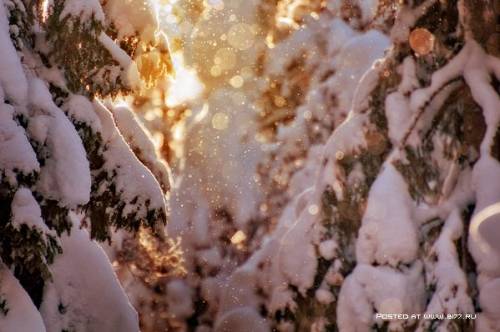 Зима на фотографиях Mikko Lagerstedt 05
