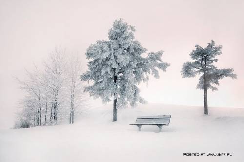 Зима на фотографиях Mikko Lagerstedt 04