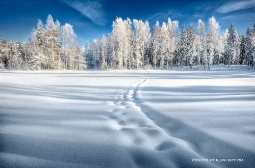 Зима на фотографиях Mikko Lagerstedt 03