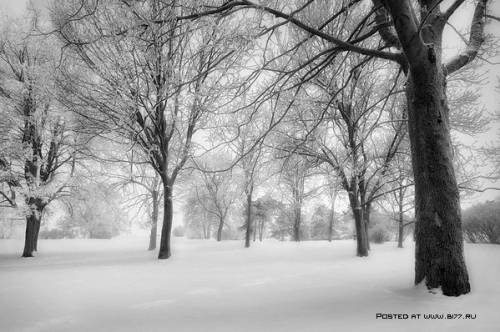 Зима на фотографиях Mikko Lagerstedt 02