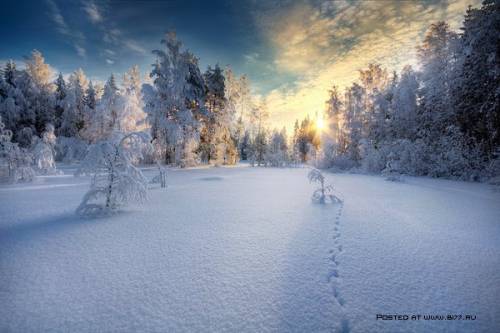 Зима на фотографиях Mikko Lagerstedt 09