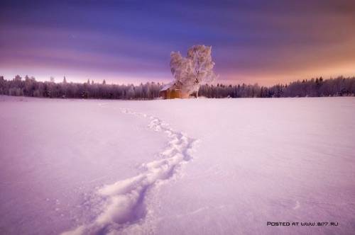 Зима на фотографиях Mikko Lagerstedt 08